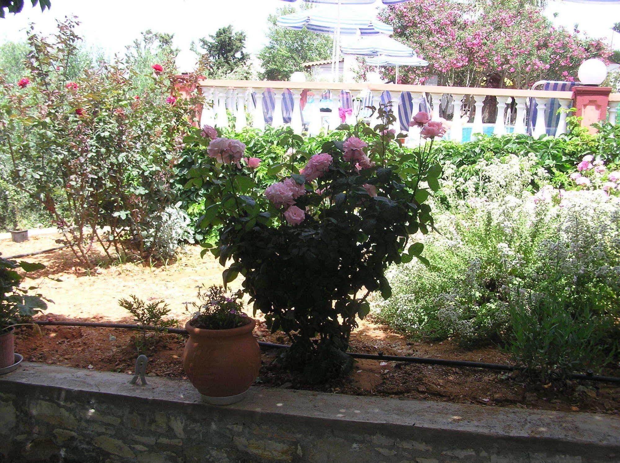 Aparthotel Knossos à Pánormos Extérieur photo