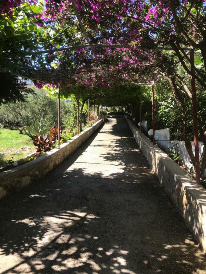 Aparthotel Knossos à Pánormos Extérieur photo
